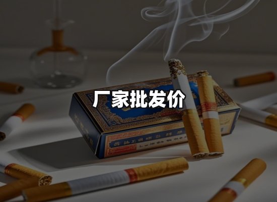 专业优势